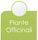 Piante Officinali