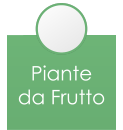 Piante da Frutto